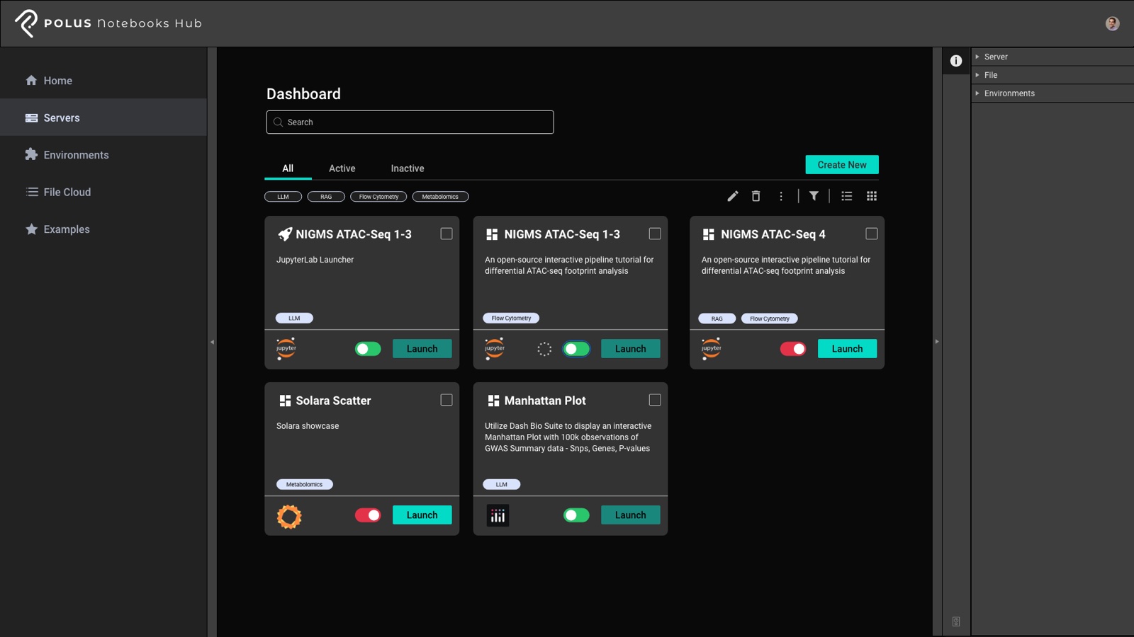 Notebooks Hub — server dashboard with notebook cards